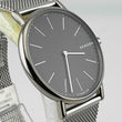 Load image into Gallery viewer, SKAGEN SKW6483 Quartz Titanium Men's Grey/Black Dial 39.7mm