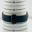 Load image into Gallery viewer, Hamilton H354250 American Classic Pan Euro PVD Automatic Winding 42.0㎜