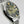 Load image into Gallery viewer, King Seiko Special Banack 5256-6000 5-sided cut Green dial Automatic 32.4mm
