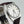 Load image into Gallery viewer, SEIKO LORDMATIC 5605-7050 Automatic Date 25 Jewels Leather Strap 32.4mm
