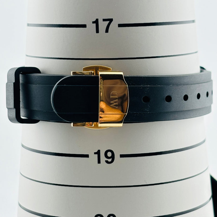 DANIEL WELLINGTON Iconic Motion DW00100425 Quartz Water resistant to 10 ATM 31.9mm